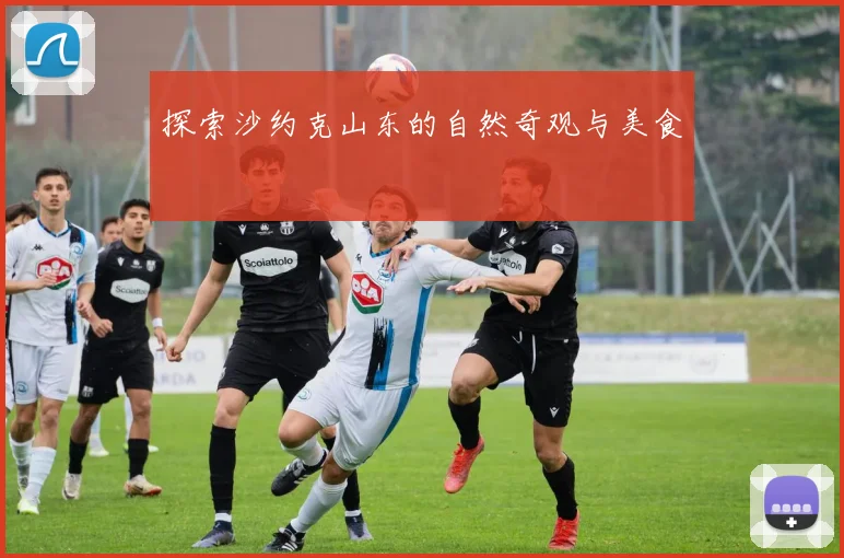 探索沙约克山东的自然奇观与美食